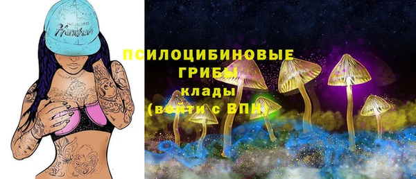 СК Алзамай