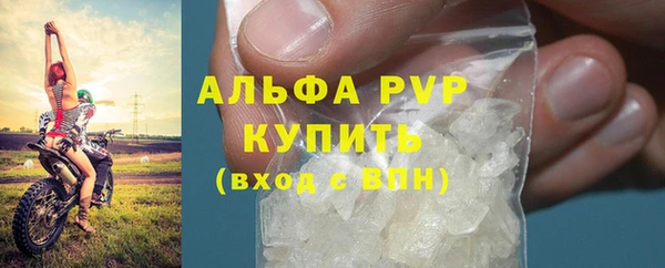 СК Протвино