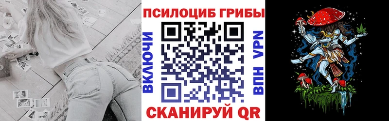 Галлюциногенные грибы мицелий  Жиздра 